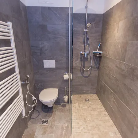 Schoenblick Residence Apartments - Including Summer Card Zell am See Room photo